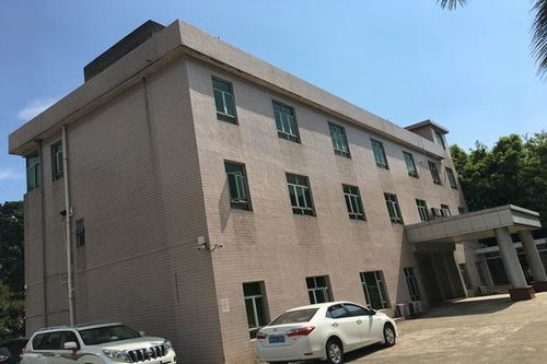 今日新聞 技術精湛，專業護航——聚焦十堰、襄陽、宜昌三地房屋建筑檢測與鑒定